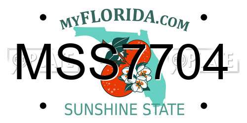 MSS7704 Florida License Plate