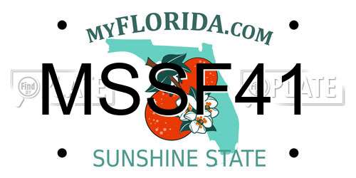 MSSF41 Florida License Plate