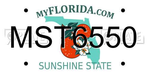 MST6550 Florida License Plate