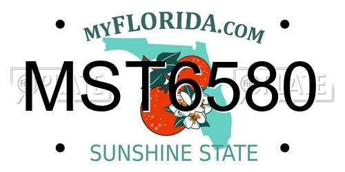 MST6580 Florida License Plate