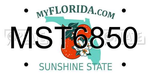 MST6850 Florida License Plate