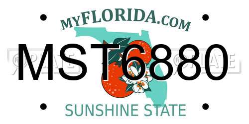 MST6880 Florida License Plate