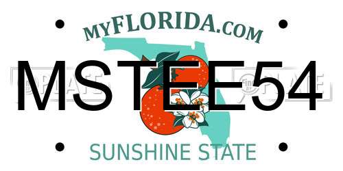 MSTEE54 Florida License Plate