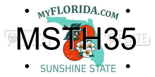 MSTH35 Florida License Plate