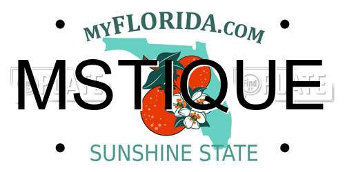 MSTIQUE Florida License Plate