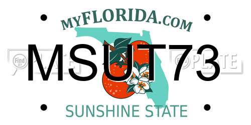 MSUT73 Florida License Plate