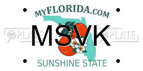 MSVK Florida License Plate