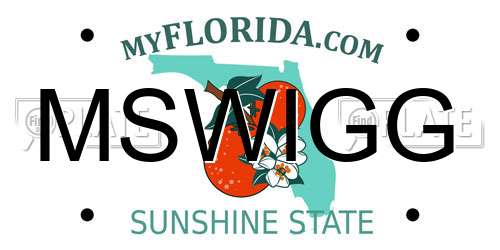 MSWIGG Florida License Plate