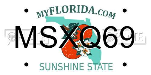 MSXQ69 Florida License Plate
