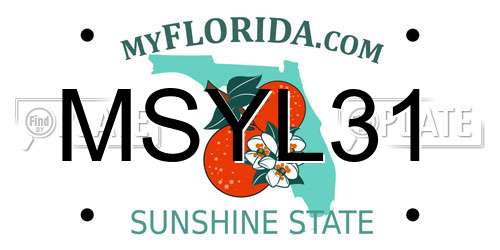 MSYL31 Florida License Plate