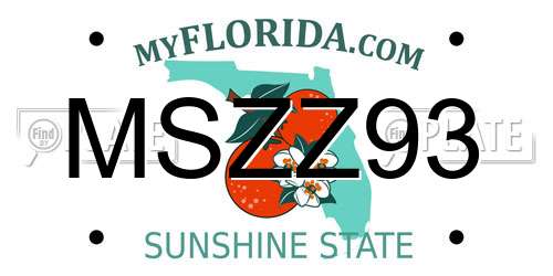 MSZZ93 Florida License Plate
