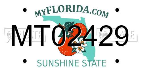 MT02429 Florida License Plate
