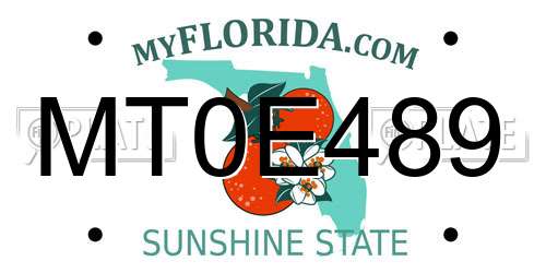 MT0E489 Florida License Plate