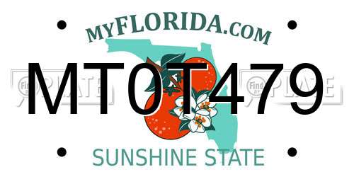 MT0T479 Florida License Plate