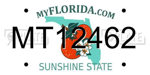 MT12462 Florida License Plate