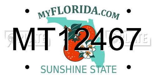 MT12467 Florida License Plate