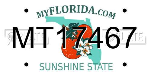 MT17467 Florida License Plate