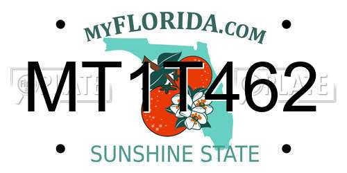 MT1T462 Florida License Plate