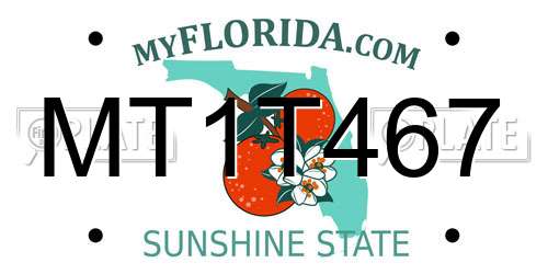 MT1T467 Florida License Plate