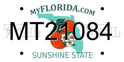 MT21084 Florida License Plate