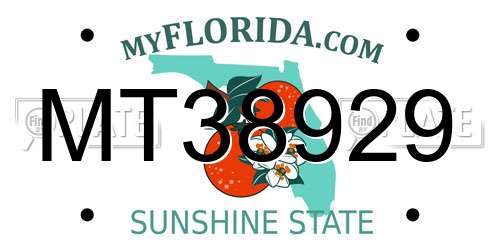 MT38929 Florida License Plate