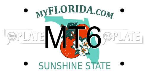 MT6 Florida License Plate
