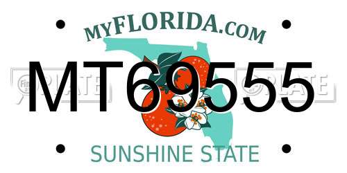 MT69555 Florida License Plate