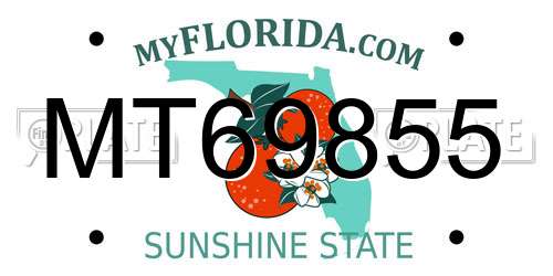 MT69855 Florida License Plate