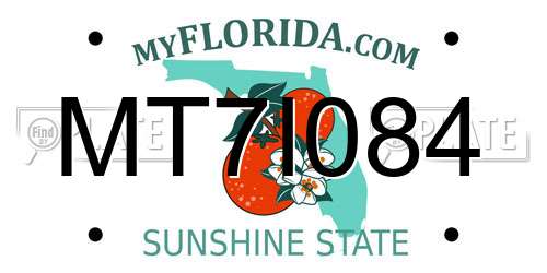 MT7I084 Florida License Plate