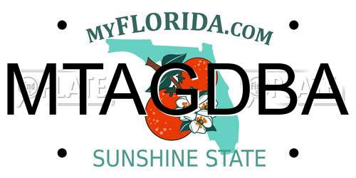 MTAGDBA Florida License Plate
