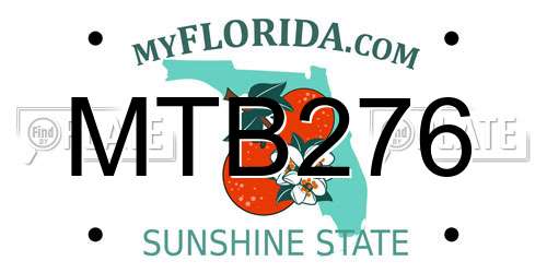 MTB276 Florida License Plate