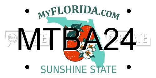 MTBA24 Florida License Plate