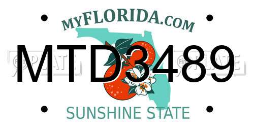 MTD3489 Florida License Plate