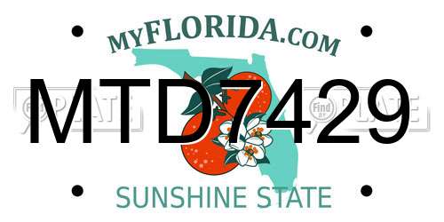 MTD7429 Florida License Plate