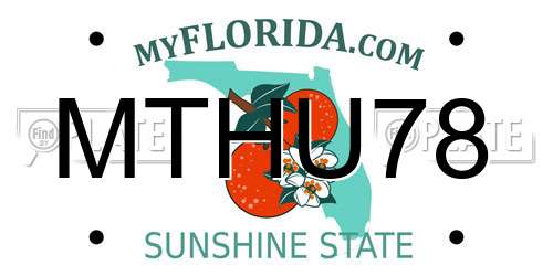 MTHU78 Florida License Plate