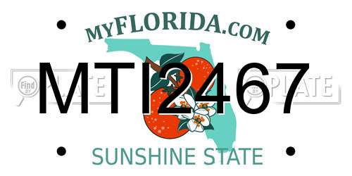MTI2467 Florida License Plate