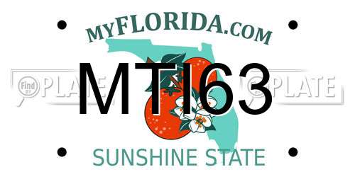 MTI63 Florida License Plate