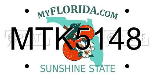 MTK5148 Florida License Plate
