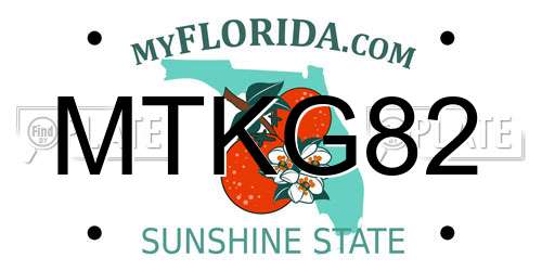 MTKG82 Florida License Plate