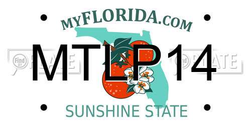 MTLP14 Florida License Plate