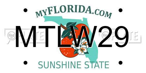 MTLW29 Florida License Plate