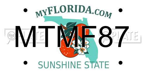 MTMF87 Florida License Plate
