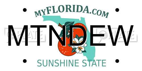 MTNDEW Florida License Plate