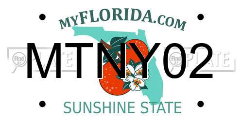 MTNY02 Florida License Plate