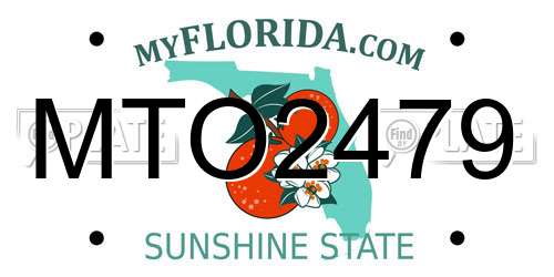 MTO2479 Florida License Plate