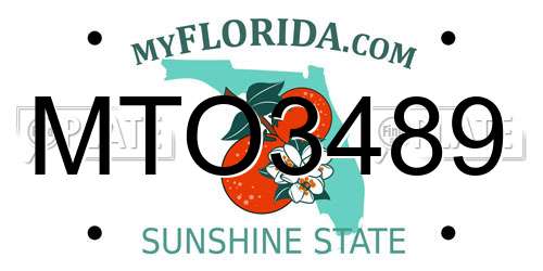 MTO3489 Florida License Plate