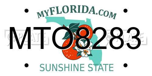 MTO8283 Florida License Plate