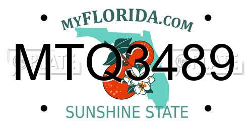 MTQ3489 Florida License Plate