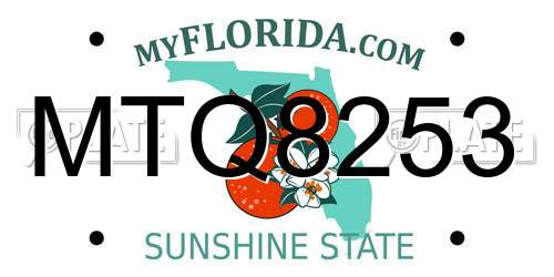 MTQ8253 Florida License Plate