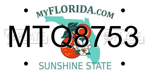 MTQ8753 Florida License Plate
